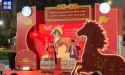 Çin’in Bahar Bayramı birçok ülkede coşkuyla kutlandı