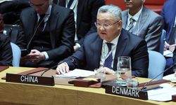 Çin: Japonya, BMGK'ye daimi üye olmaya layık değil