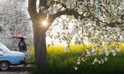 Meteorolojiden sevindiren haber geldi: Bahar molası geliyor!