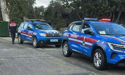 Bodrum’da sokakta yaşayan köpekleri öldüren şahıs tutuklandı