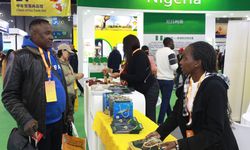 Çin'den, 53 Afrika ülkesine sıfır gümrük vergisi!