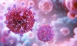 Hiv nedir? Hiv belirtileri, bulaşma yolları ve tedavisi