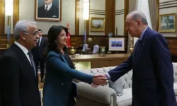 DEM Parti'den Erdoğan görüşmesine ilişkin açıklama