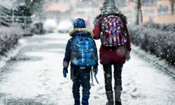 Ardahan Valisi, sosyal medya talebine yanıt verdi: Okullar tatil