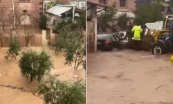 Hatay’ı sel vurdu: Hayvanlar telef oldu, yollar göle döndü