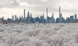New York'ta 18 kişi aşırı soğuklar nedeniyle can verdi