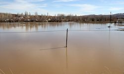 1400 futbol sahası büyüklüğünde tarım arazisi su altında