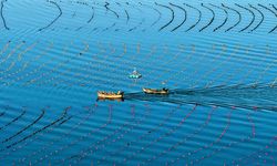 15. Beş Yıllık Plan’da deniz ekonomisini geliştirme vurgusu