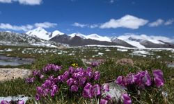 Çinli bilim insanlarından kritik iklim araştırması: 130 bin yıllık değişim çözüldü