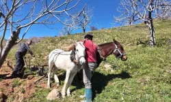 Günlük 8 bin TL yevmiyeye rağmen çalışan bulunamıyor
