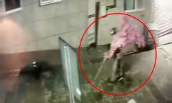 Kafedeki yazıyı fark etti, ağacı sırtlayıp götürdü!