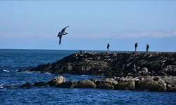 Yurda bahar geldi: Türkiye’de hafta boyunca hava nasıl olacak?