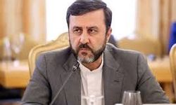 Garibabadi: Tarihi eserlere saldırı uluslararası hukukun ihlali