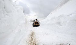 Bahar geldi derken karla karşılaştılar: Yollar kapandı!
