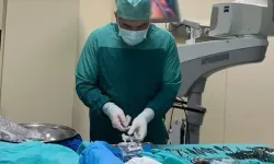 11 saatlik ameliyatla mucize: Kopan kol yerine dikildi