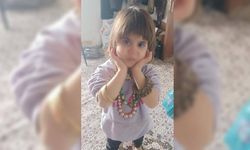 Bitlis’te 4 Yaşındaki Rabia’dan haber alınamıyor