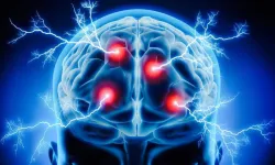 Çinli bilim insanları keşfetti: Beyin düşünme ve algılama arasında nasıl geçiş yapıyor?