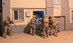 “Bayğaralar” operasyonunda 221 tutuklama