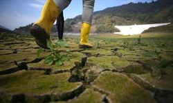 Felaket kapıda: Sıcaklar, 250 gün azap çektirecek!