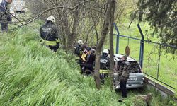 Direksiyonda kalp krizi geçirdi, şarampole uçtu!