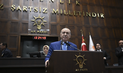 Cumhurbaşkanı Erdoğan: Kardeşlerimizle aramıza kimse giremez