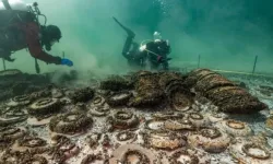 İsviçre'de şaşırtıcı hazine: Koruma programına alındı!