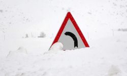 Bitlis'te 82 köy yolu ulaşıma kapandı