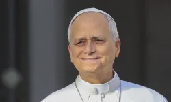 Papa 14. Leo: Dünya, bir avuç zorba tarafından harap ediliyor