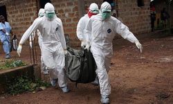 DSÖ, ebola salgını nedeniyle küresel acil durum ilan etti