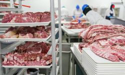 Ankara’da 40 ton et ve kaçak zeytinyağına el konuldu