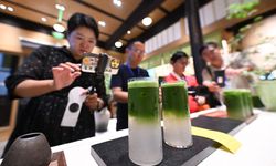 Çin’in matcha tozu üretimi dünyanın yüzde 70’ini oluşturdu
