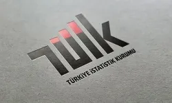 TÜİK açıkladı: Vatandaşın güvenlik önlemleri belli oldu