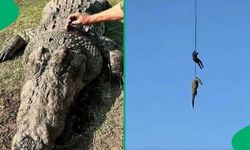 Kayıp iş insanı aranıyordu… Dev timsahın midesinden çıktı!