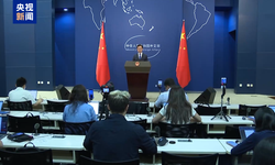 Çin: Avusturya ile dostane stratejik ortaklığı daha ileriye taşıyacağız