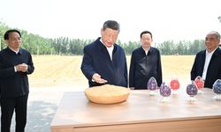 Xi Jinping’den kırsal kalkınma vurgusu: Modernleşmenin temeli tarımdır