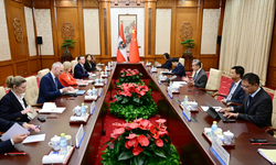 Çin ve Avusturya’dan stratejik diyaloğu güçlendirme mutabakatı