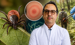 Prof. Dr. Alper Şener açıkladı: Kenelerdeki Lyme hastalığı KKKA'den daha tehlikeli