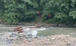 Rize'de kayıp kişiyi arayan AFAD personeli hayatını kaybetti