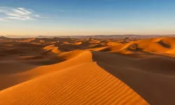 Sahara Çölü’nde 50 kişi susuzluktan öldü