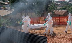 Kongo'da ebola kabusu büyüyor: Vaka sayısı 1094'e ulaştı