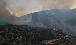 Balıkesir'deki orman yangınında 2 tutuklama