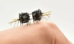 Böcek gibi uçan robot geliştirildi