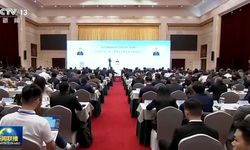 Li Shulei, yabancı akademisyenlerle bir araya geldi