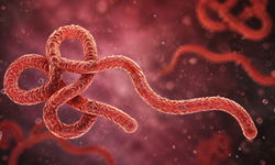 Kongo Demokratik Cumhuriyeti’nde Ebola salgınında vaka sayısı 1700’ü aştı