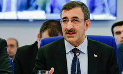 Cumhurbaşkanı Yardımcısı Cevdet Yılmaz enflasyon verilerini değerlendirdi