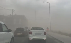 İstanbul'da fırtına etkili oldu: Ağaçlar devrildi, uçaklar iniş yapamadı!