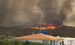 İspanya'da orman yangınları nedeniyle 60 bin kişi tahliye edildi
