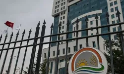 Bakanlıktan çekirge istilası iddialarına yanıt