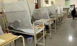 Filipinler'de Dang Humması alarmı: 12 kişi öldü, salgın ilan edildi