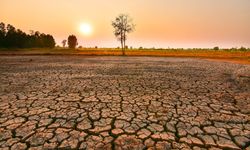 İklim için yeni alarm: Yüzyılın en güçlü El Nino’su geliyor